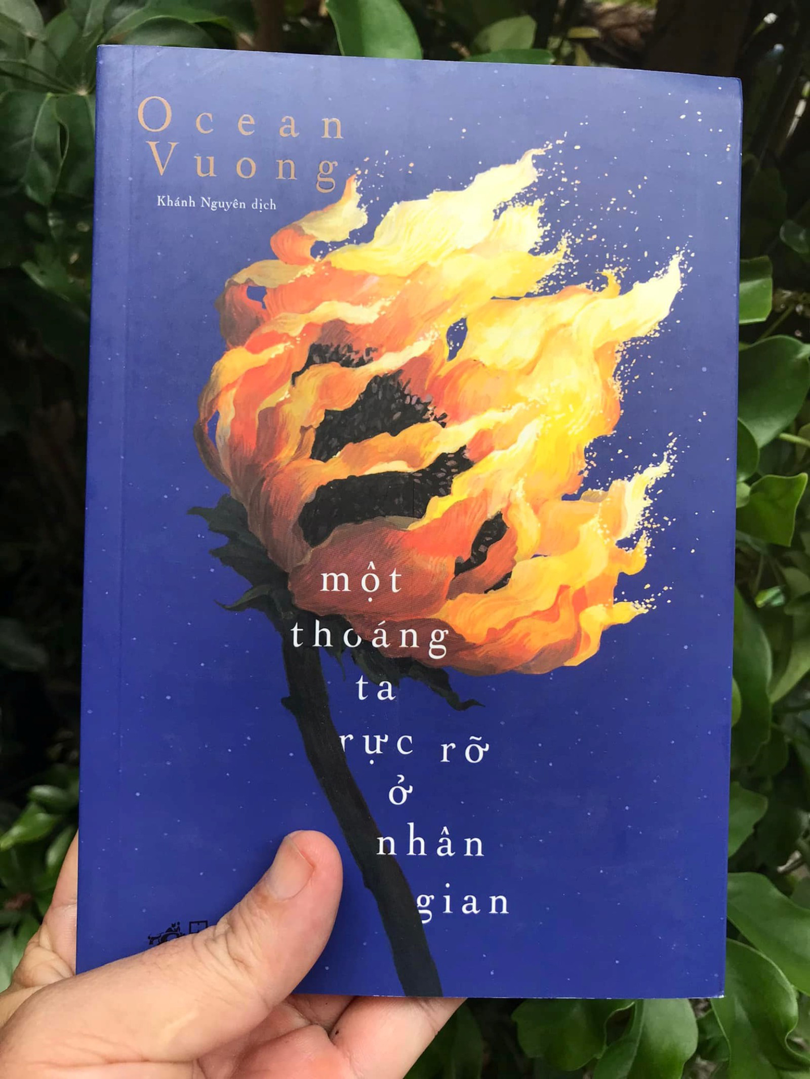 Một thoáng ta rực rỡ ở nhân gian - Tiểu thuyết của Ocean Vương